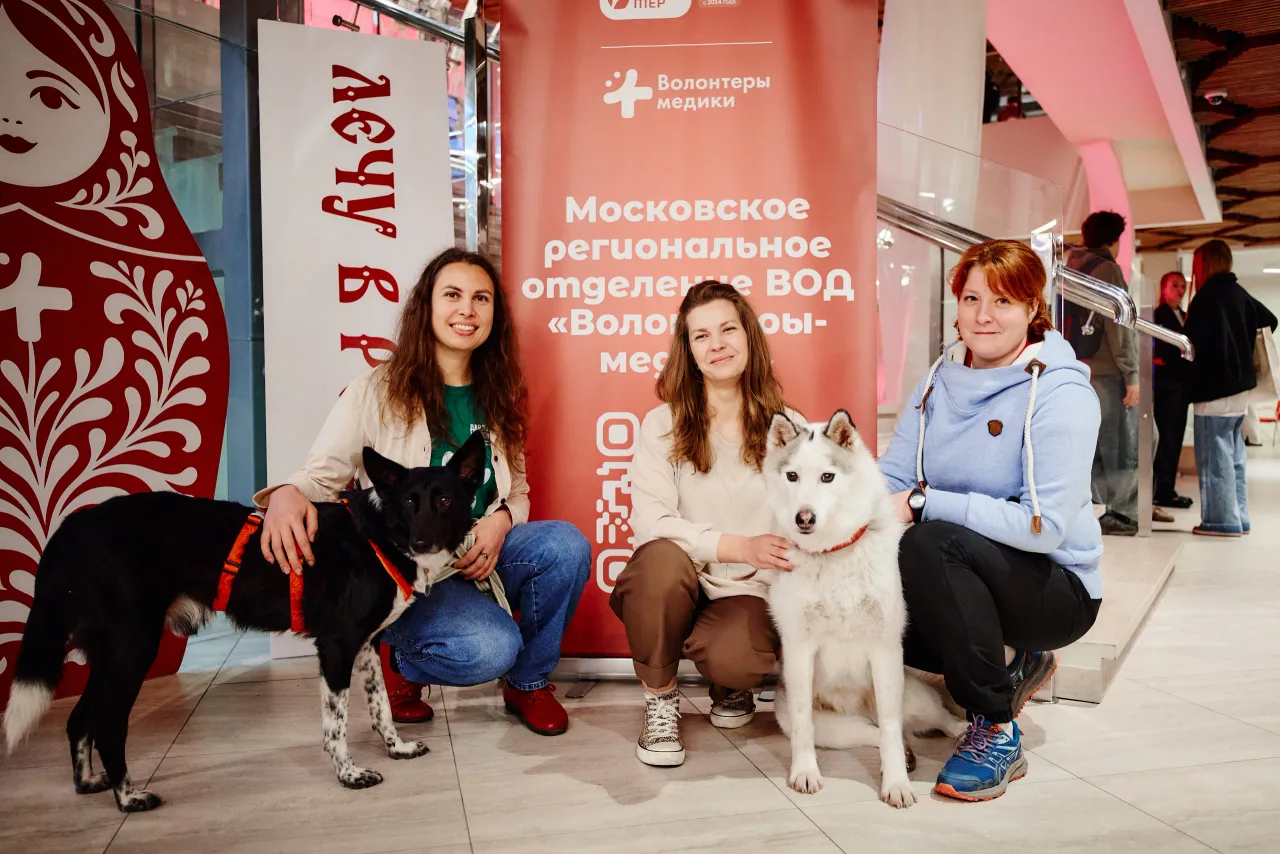 III Московский форум добровольцев в сфере охраны здоровья, кадр 56
